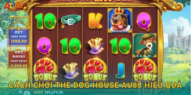 Cách chơi The Dog House Au88 hiệu quả